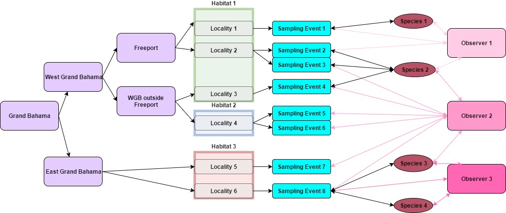 eBird data Hierarchy
