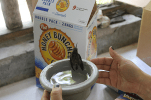 Webber the hmmingbird in sugar water