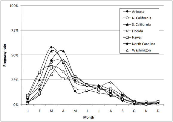 cat pregnancy-rate-chart USA